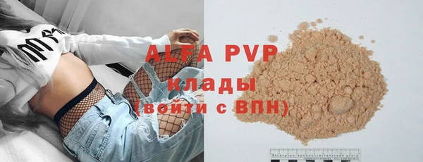 молекула духа Арсеньев