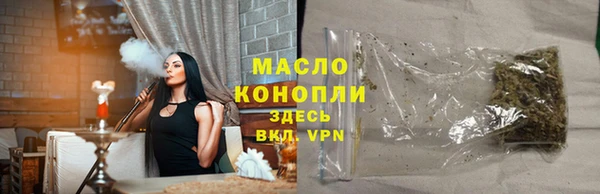 молекула духа Арсеньев