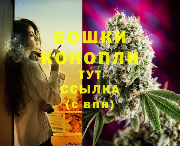 молекула духа Арсеньев