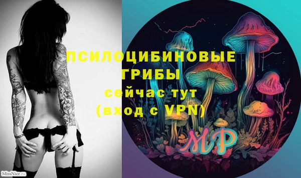 молекула духа Арсеньев