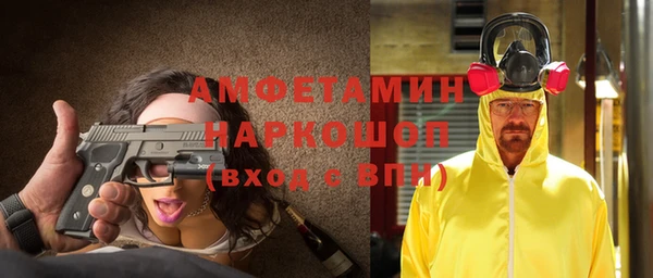 молекула духа Арсеньев