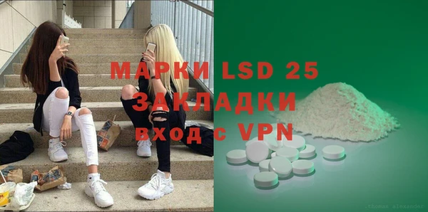 молекула духа Арсеньев