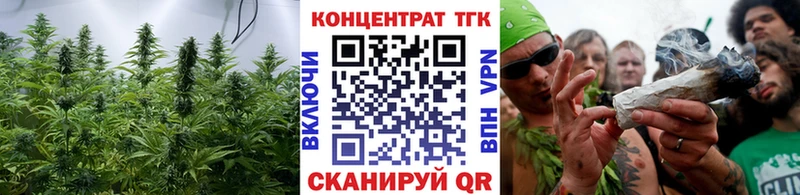 дарнет шоп  Октябрьск  Дистиллят ТГК THC oil 